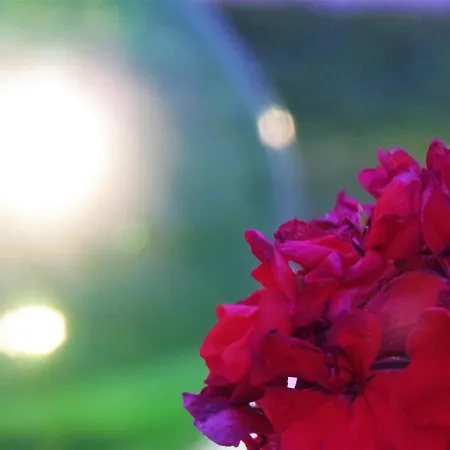 Li Perrini Boutique Bed & Breakfast