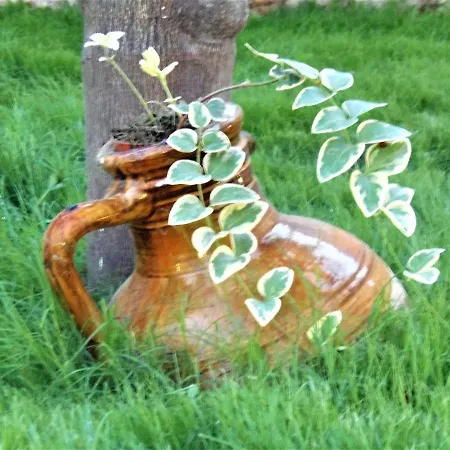 Li Perrini Boutique ベッド・アンド・ブレックファスト 4*